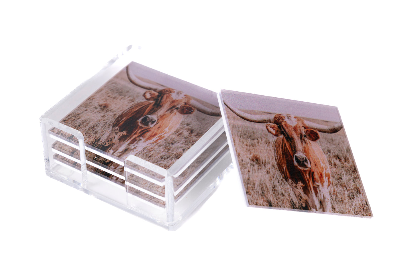 acrylic coaster with longhorn