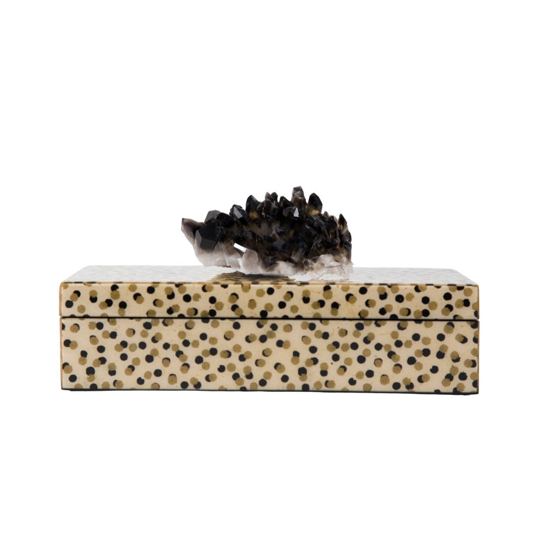 Dalmation Box with Smoky Quartz