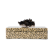 Load image into Gallery viewer, Dalmation Box with Smoky Quartz
