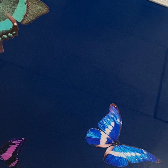 Blue Butterfly mahjong carrying case with full set of tiles, acrylic pushers and instructions for the game 