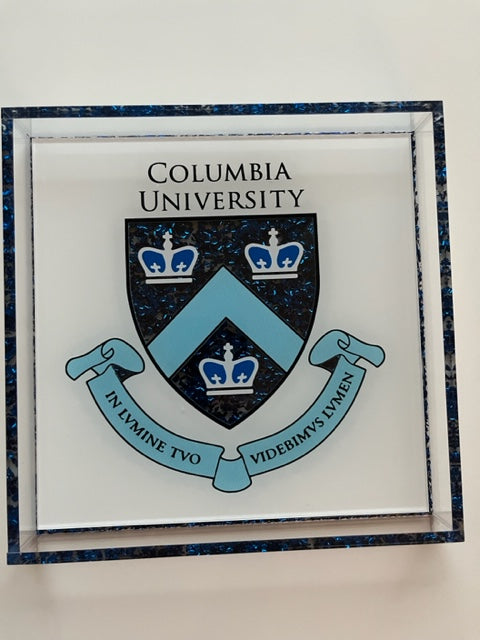 college acrylic logo tray