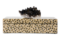 Load image into Gallery viewer, Dalmation Box with Smoky Quartz
