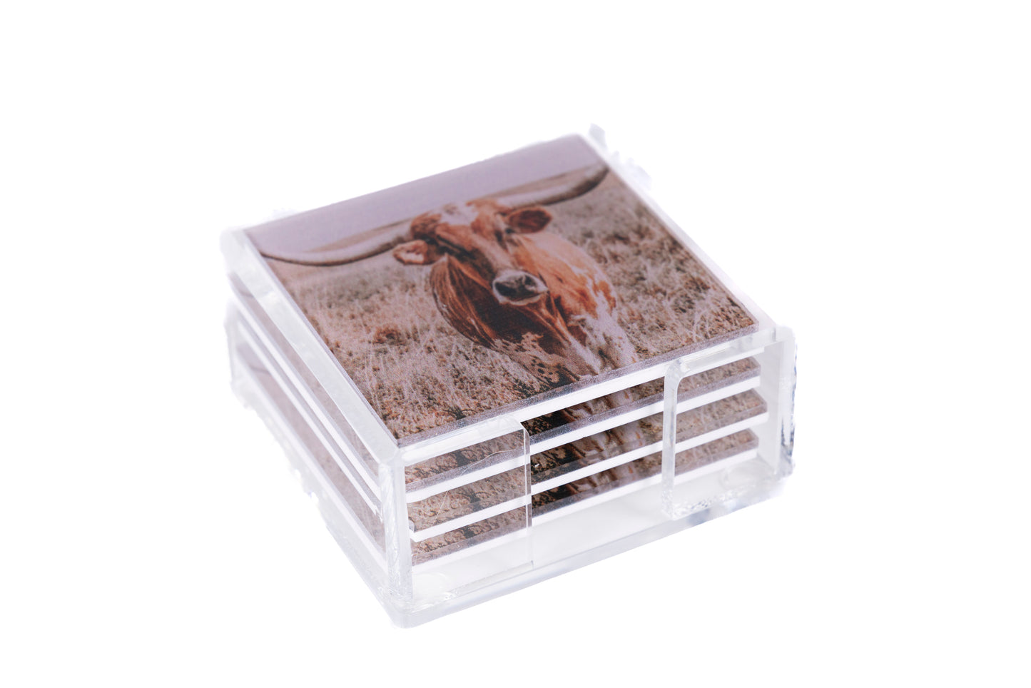 longhorn acrylic coaster set
