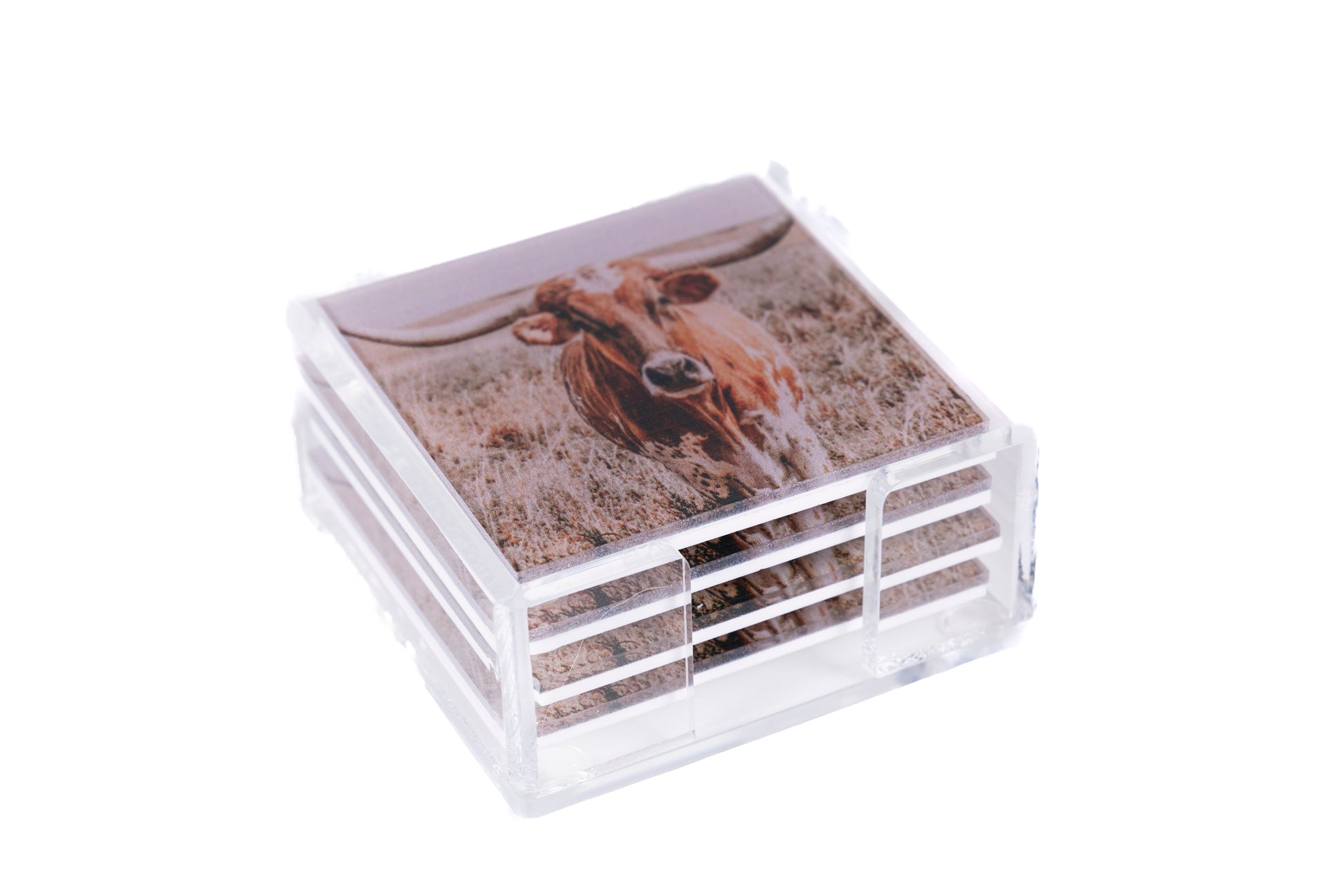 longhorn acrylic coaster set