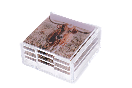 acrylic longhorn coaster set